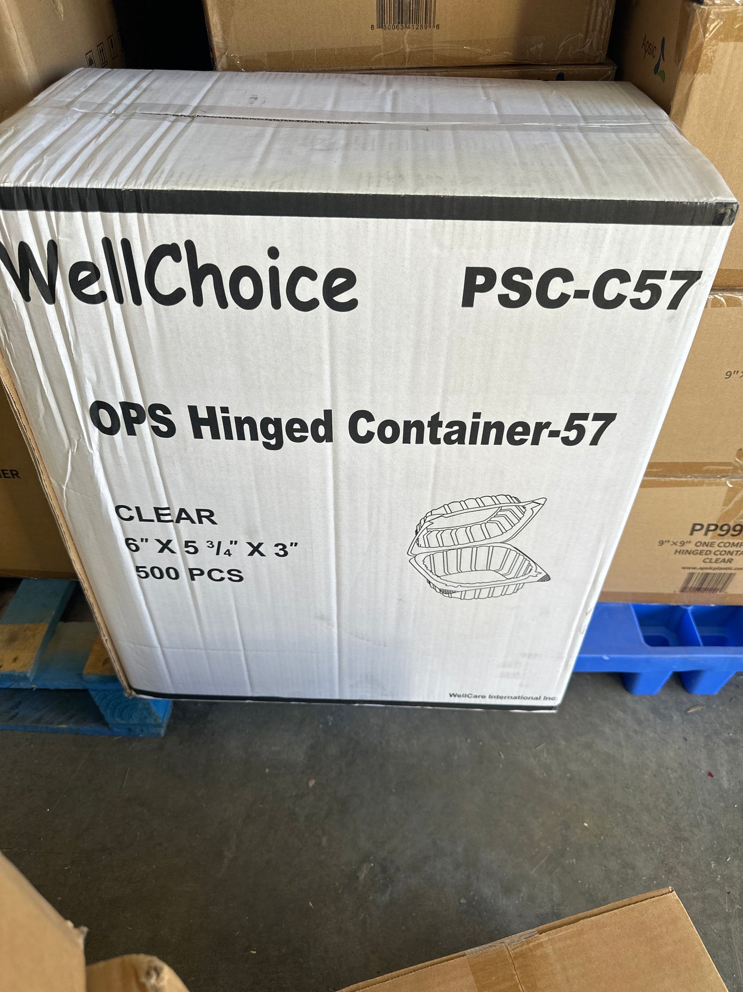 B7- 22 Clear Hinged Container 6x5x3