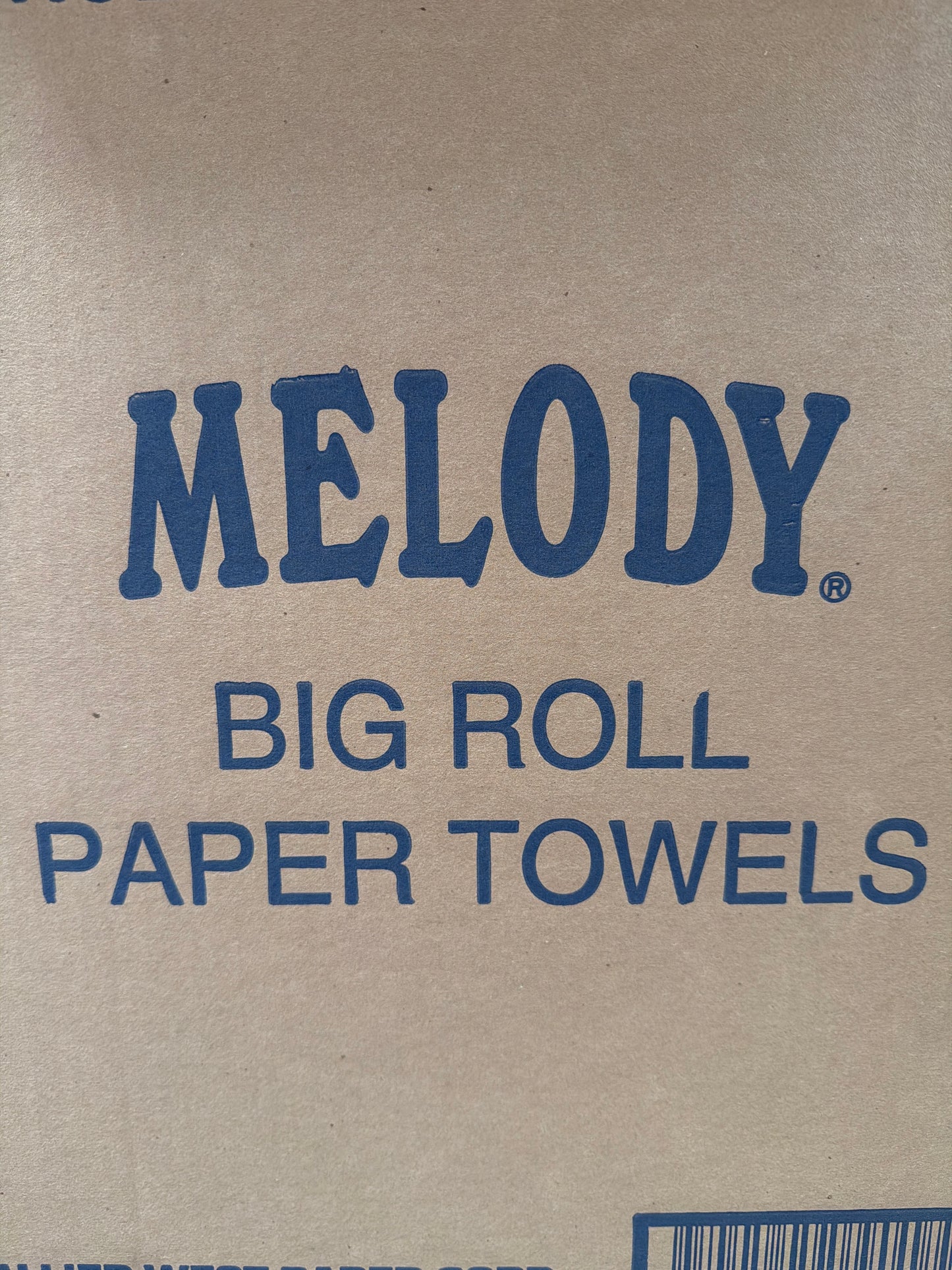 Melody Big Roll Paper Towels