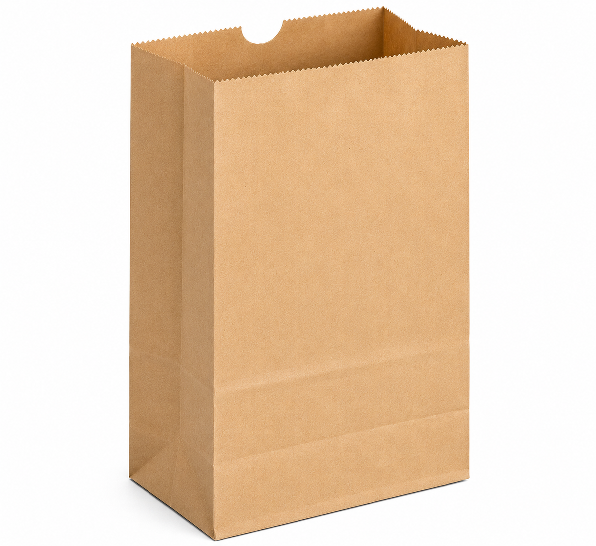 E1 - #2 brown paper bags 500pcs