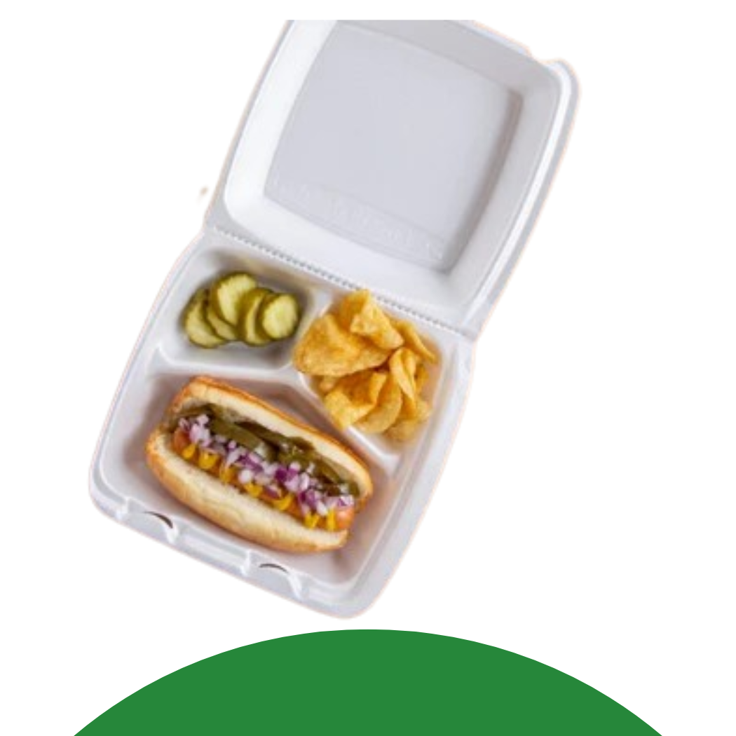 LARGE FOAM CONTAINER 3 COMP 200