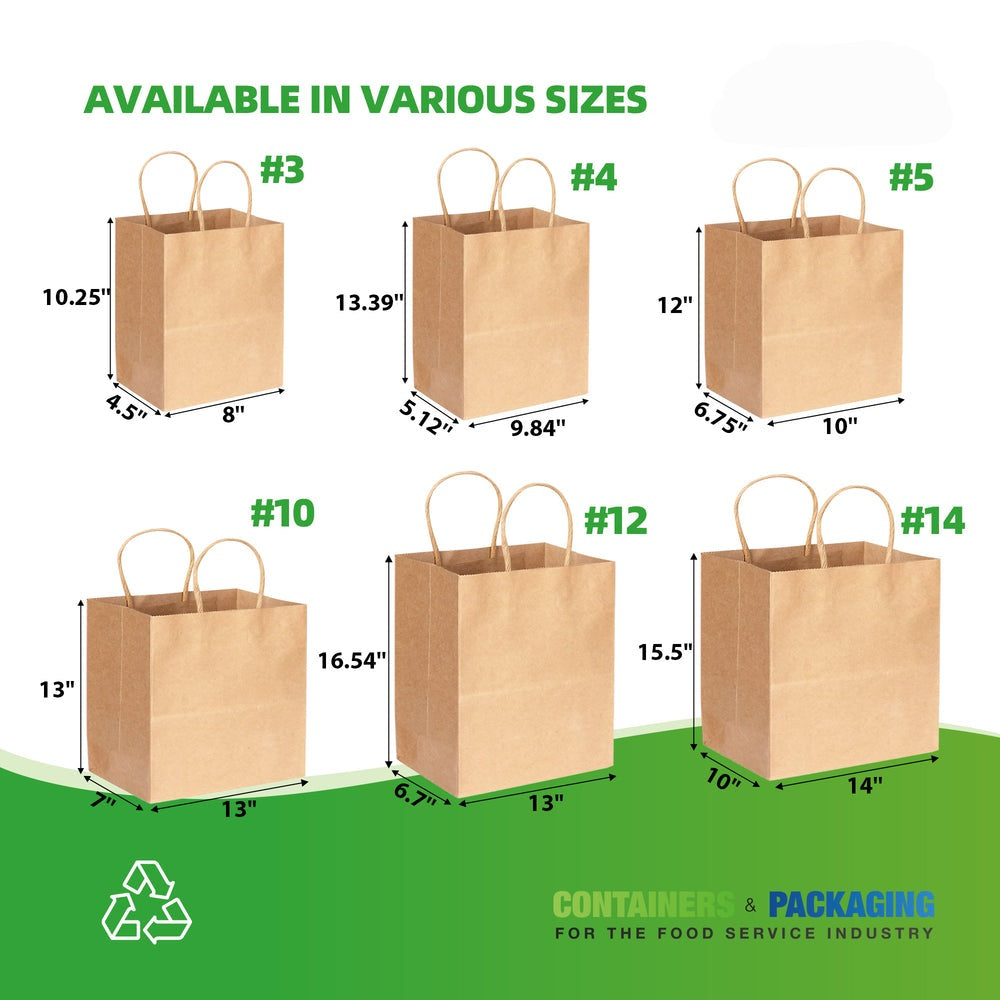 #5 KRAFT PAPER BAG WITH TWIST HANDLE 10"X7"X12" 100gms 250/CTN