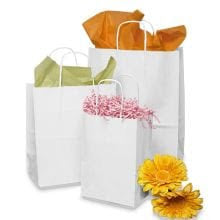 12-1/2x7x17 White Handle Bag