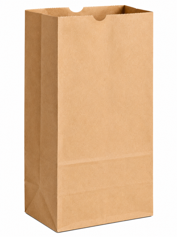 E2- #8 brown Paper bags 500pcs