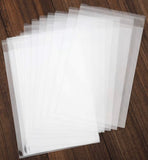 RL2-10 PP Clear Bag with holes 11x14 1.0 mil 1000 pcs