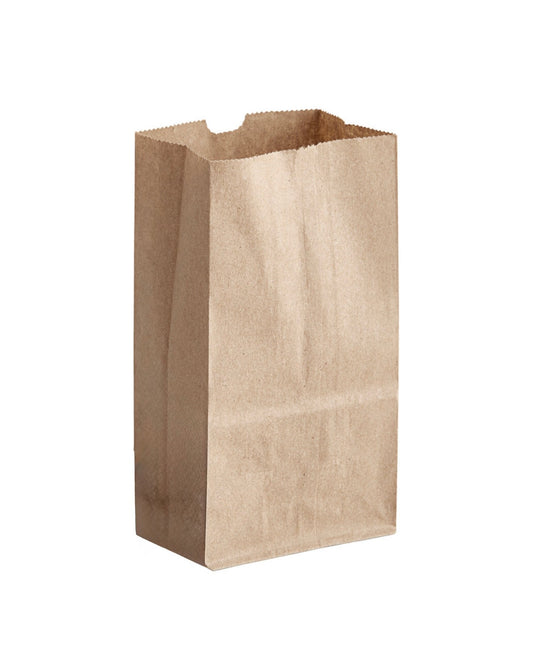 20 LBS Kraft Paper Bag  8.2" X 5.3" X 16.1"