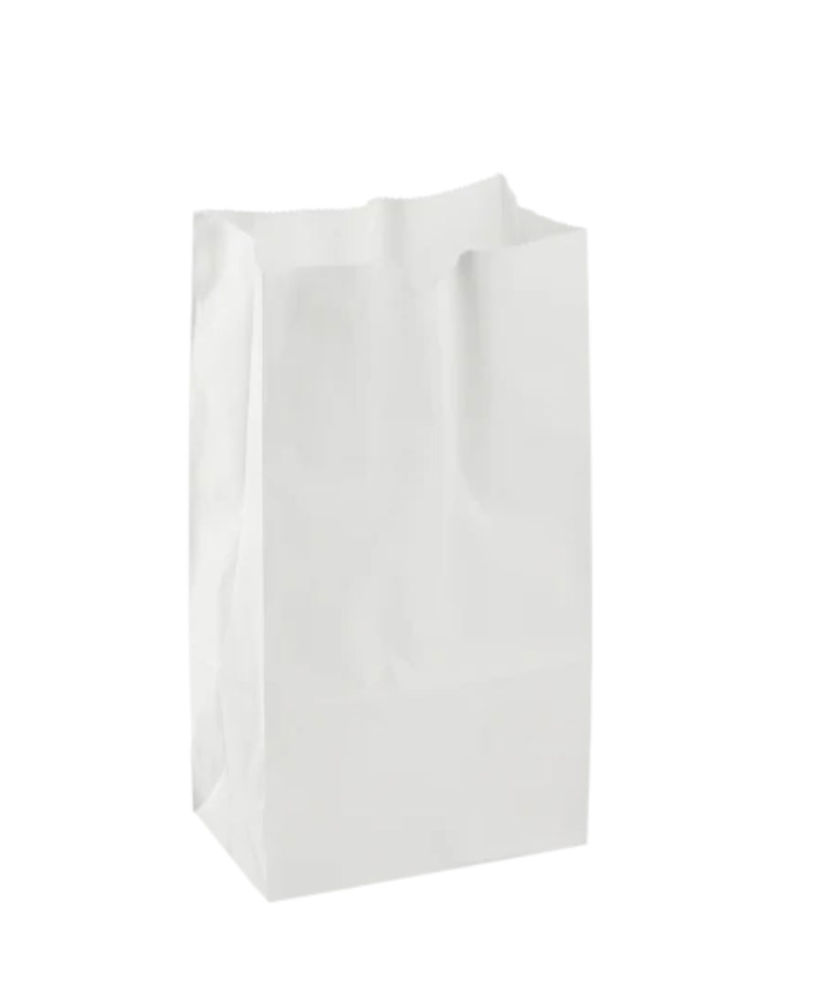 E3- #8 white paper bag 500pcs