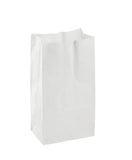 RL5-33 #2 White paper bag 500pcs