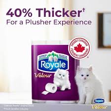 ROYALE VELOUR TOILET PAPER 190 SHEETS 2 PLY