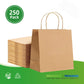 RL5-34 #10 Twisted Handle Brown Bag   13x7x13 250pcs