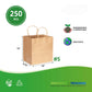 #5 KRAFT PAPER BAG WITH TWIST HANDLE 10"X7"X12" 100gms 250/CTN
