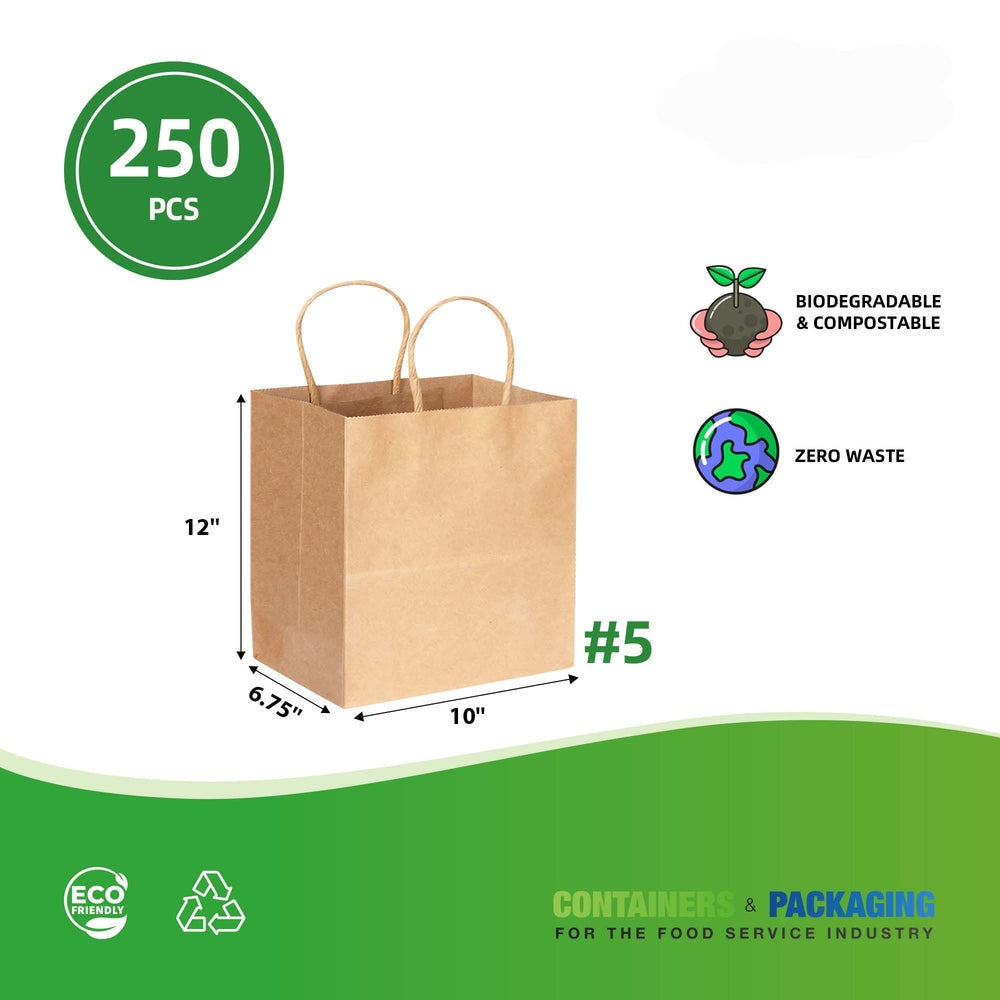 #5 KRAFT PAPER BAG WITH TWIST HANDLE 10"X7"X12" 100gms 250/CTN